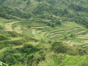 Balacbac Rice Terraces