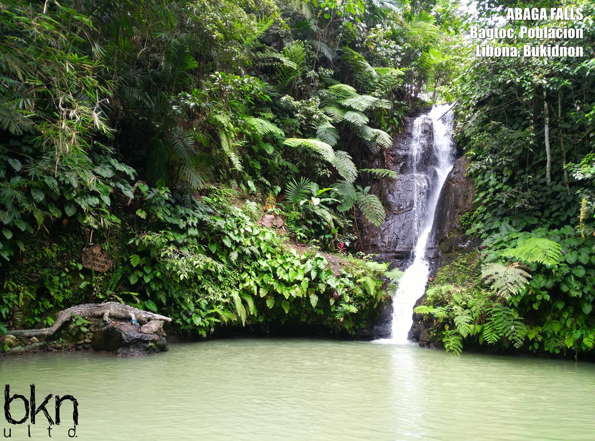 Abaga Falls