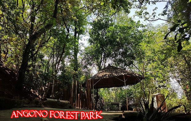 Angono Forest Park
