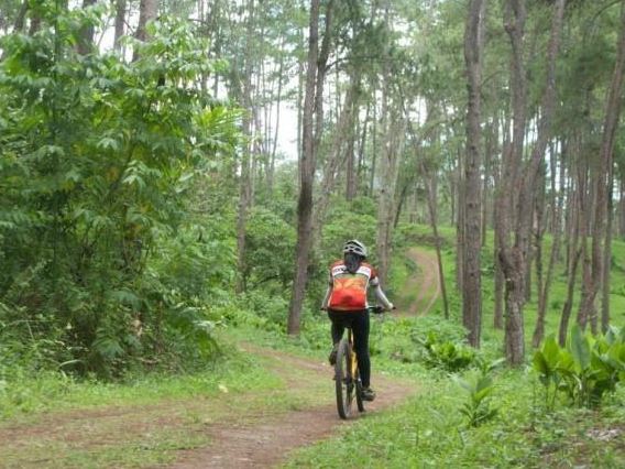 Bukidnon Tree Park