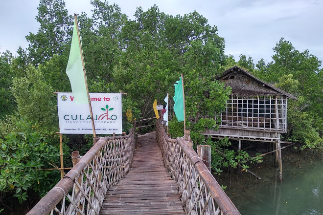 Culajao Mangrove Eco-park
