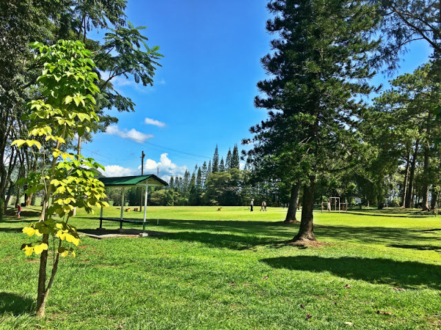 Del Monte Club House And Del Monte Golf Course And Country Club