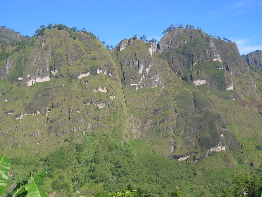 Mt. Gedgedayan