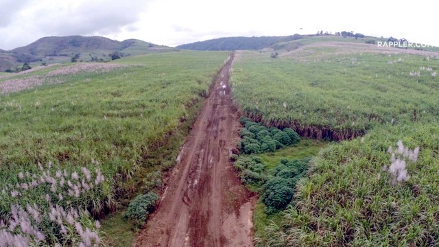 Rough Road In Pangantucan, Bukidnon